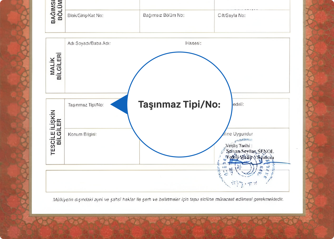 Tapu Numara